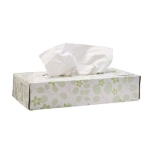 Tissues 40 dispenser à 100 stuks 2-laags cellulose